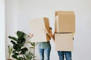 Two people are holding large cardboard boxes in front of their faces, standing in a room with several potted plants against a plain white wall.