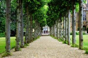 Gravel path lined with evenly spaced trees leading to a grand building entrance.